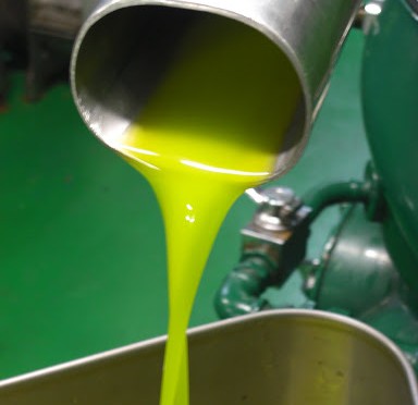 23-27 ottobre: Olio Roi al Salone Internazionale del Gusto-Terra Madre