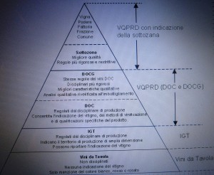 piramide vini